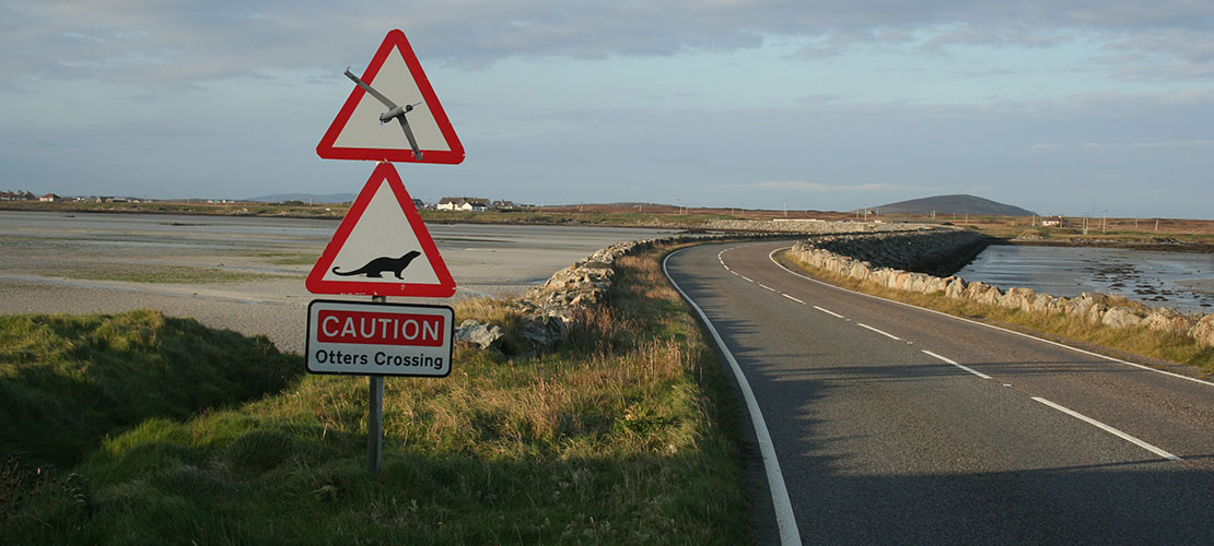 Otters crossing sign by road in Hebrides
