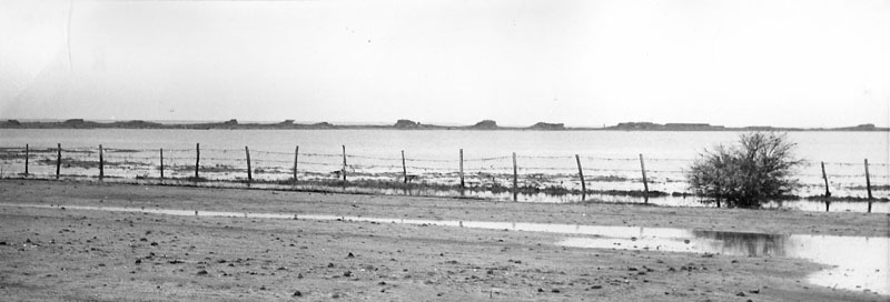 Remains of the seawall at Great Shell Corner, Foulness. February 1953 (PSA Colchester)